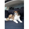 Couverture De Protection Pour Voiture Premium