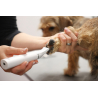 Tondeuse Multi-Fonction Sur Batterie 4 in 1
