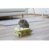 Jouet Pour Chat En Sisal Cheesy