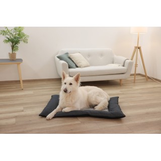 Coussin Platin Ortho
