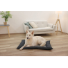 Coussin Platin Ortho