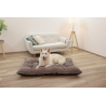 Coussin Benno