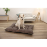 Coussin Benno