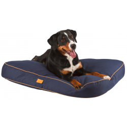 Coussin Jerome