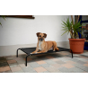 Couchette Pour Chien Vacation