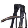 Bridon Devi
