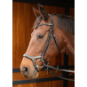 Bridon Anatomic