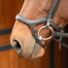 Bridon Anatomic
