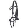 Bridon Anatomic