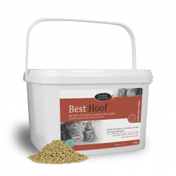 Best Hoof Biotine