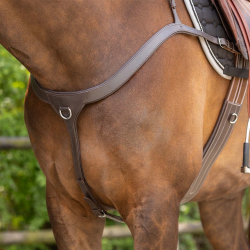 Collier De Chasse Avec Poignée