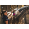 Lotion Crinière et Queue Canter Carr & Day & Martin