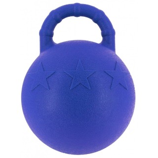 Ballon Avec Poignée Hippotonic