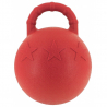 Ballon Avec Poignée Hippotonic
