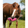 Jouets Pour Chevaux