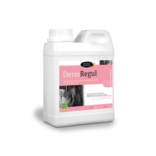 Derm Régul Démangeaisons