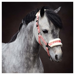 LICOL ET LONGE " LOVE "