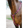 Collier de chasse Endurance " POP " NORTON