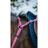 Collier de chasse Endurance " POP " NORTON