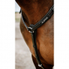 Collier de chasse Endurance " POP " NORTON