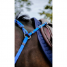 Collier de chasse Endurance " POP " NORTON