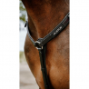 Collier de chasse Endurance " POP " NORTON