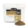 Harpagophytum pur ( horse master ) : souplesse articulaire