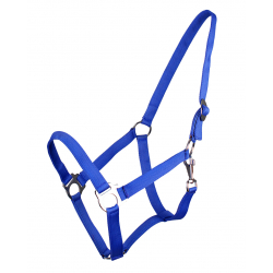 Licol Avec Glissière