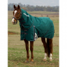 Couverture Weatherbeeta Plus Dynamic Cou-Détachable