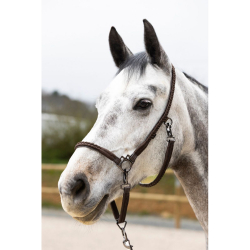 Lico Pro - Confort " Dialou...