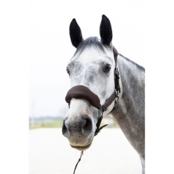 Licol + Longe Pro - Confort...