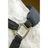 Licol + Longe Pro - Confort " Dorai " En Mesh