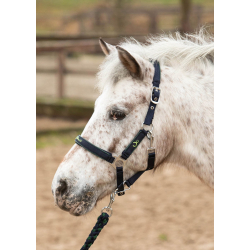 Licol + Longe STOUT Lime