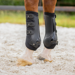 Guêtres Antérieur Champion