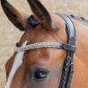 Frontal Clincher
