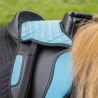 Selle Shetland