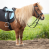 Selle Shetland