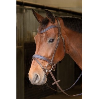 Bridon Havanna Navy