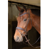 Bridon Havanna Navy