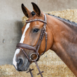 Bridon Soft Bombastic Crystal