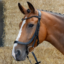 Bridon Anatomic Black Crystal