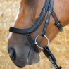 Bridon Anatomic Black Crystal