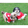 Manteau Pour Chien Noel