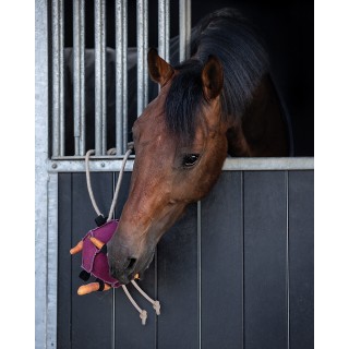 Jouets Pour Chevaux Balle