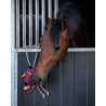 Jouets Pour Chevaux Balle
