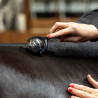 Rouleau De Massage Pour Chevaux