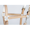 Licol Cuir Cremello