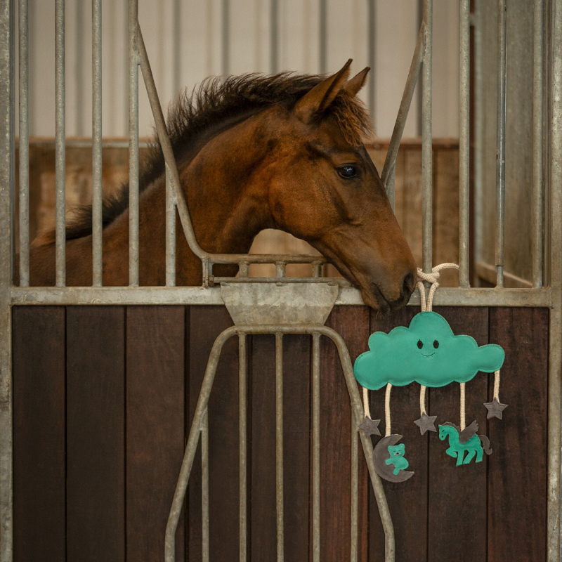 Jouets pour Chevaux Novy