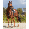 fourrure de martingale