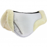 amortisseur équithème cushion